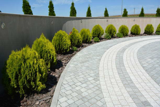 Best Brick Driveway Pavers  in Euless, TX